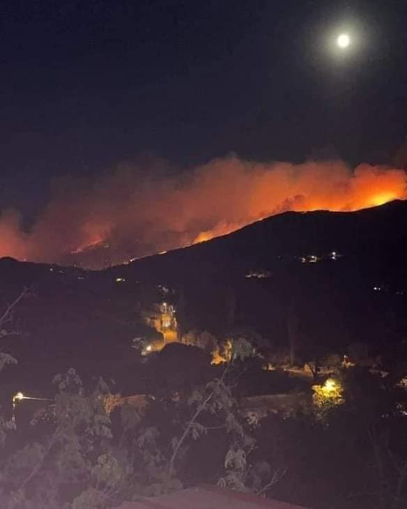 BOZDOĞAN YANGININA HAVADAN VE KARADAN MÜDAHALE EDİYOR