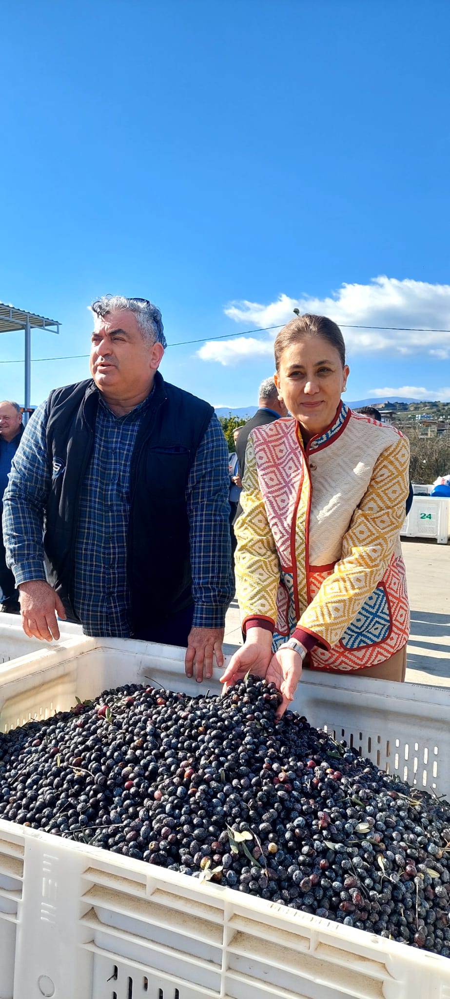 Kaymakam Kan, Zeytinyağının yoluculuğuna tanıklık etti