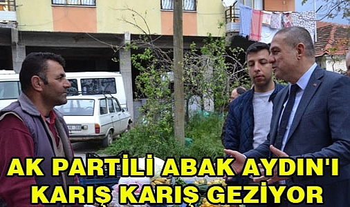 ABAK, ARI GİBİ ÇALIŞIYOR