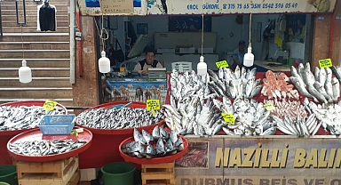 BALIKÇI EROL HAYATINI KAYBETTİ