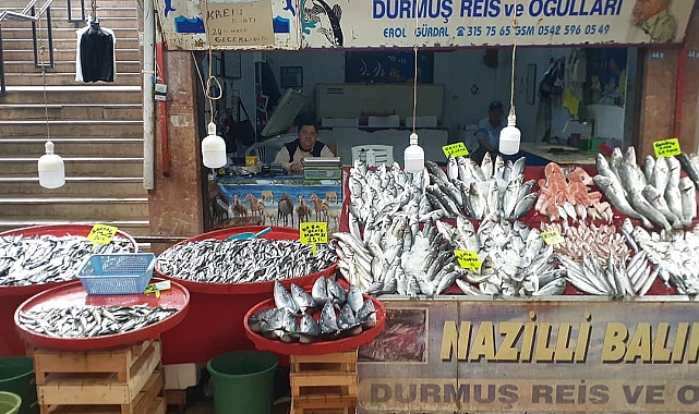BALIKÇI EROL HAYATINI KAYBETTİ