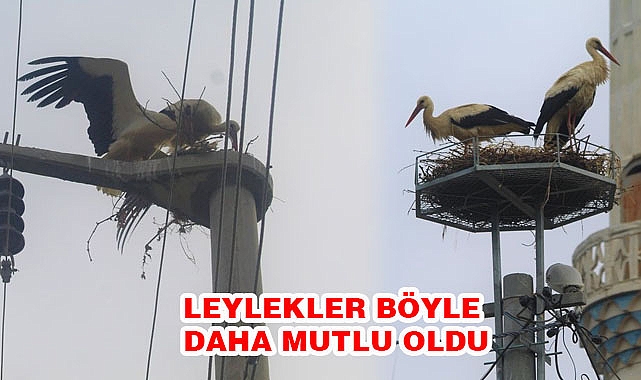 LEYLEKLER GELMEYE BAŞLADI KÖYLÜLER İSTEDİ GEDİZ ELEKRTRİK YAPTI