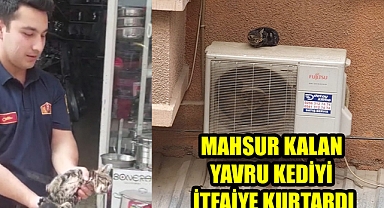 Minik Yavru kediyi itfaiye kurtardı