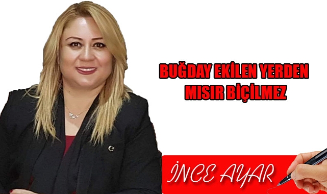 BUĞDAY EKİLEN YERDEN MISIR BİÇİLMEZ
