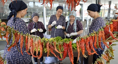 ÇİNE BELEDİYESİ, TARIM ÜRÜNLERİNİ TÜKETİCİYE UYGUN FİYATLA SUNUYOR