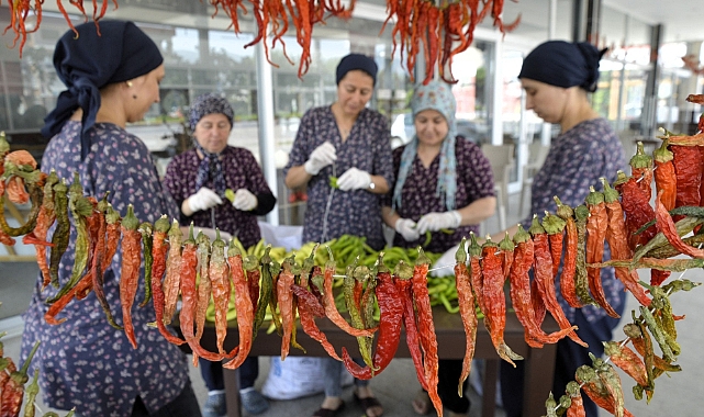 ÇİNE BELEDİYESİ, TARIM ÜRÜNLERİNİ TÜKETİCİYE UYGUN FİYATLA SUNUYOR