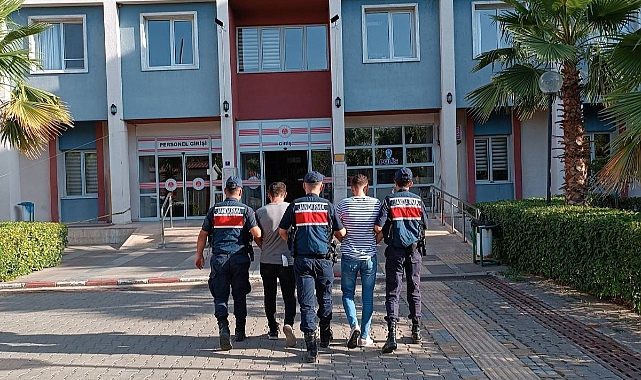 ZEYTİNYAĞI HIRSIZLARI YAKALANDI