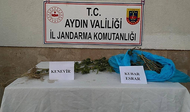 AYDIN GENELİ UYUŞTURUCU DENETİMLERİ