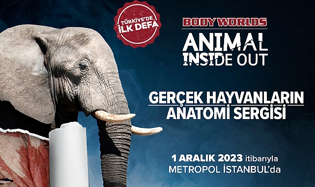 HAYVANLAR ALEMİNİN BÜYÜLEYİCİ İÇ DÜNYASINA YOLCULUK BAŞLIYOR!