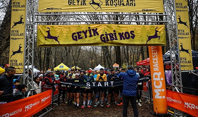 Belgrad Ormanını Geyikler Bastı!
