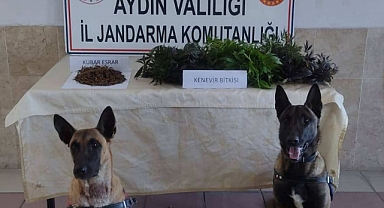 HAKKINDA BİR ÇOK DOSYADAN ARAMASI VARDI YAKALANDI