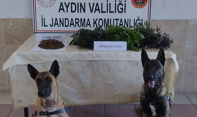 HAKKINDA BİR ÇOK DOSYADAN ARAMASI VARDI YAKALANDI
