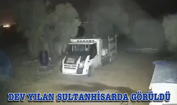 SULTAHHİSAR'DA DEV YILAN