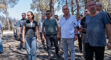 350 hektarlık alan yandı