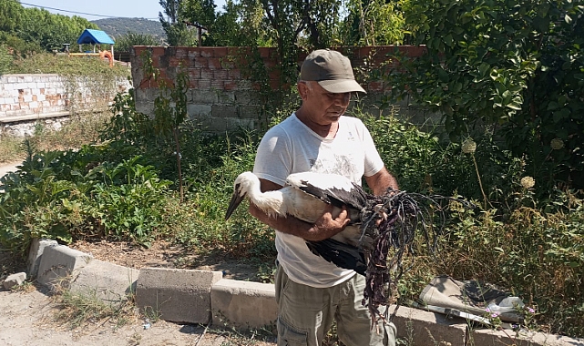 DOĞAYA ATILAN TARIMSAL KAYNAKLI İPLER LEYLEKLERİN ÖLMESİNE NEDEN OLUYOR