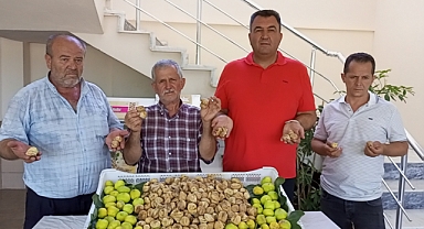 SEZONUN İLK KURU İNCİRİ 250 TL İLE  TEZGAHA DÜŞTÜ