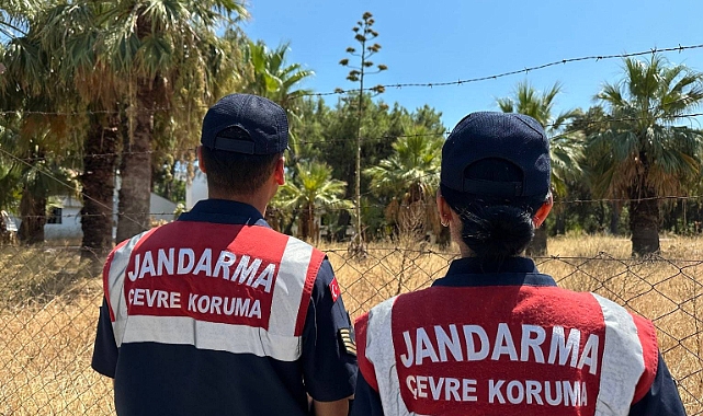 60 İLE 100 YILDA BİR ÇİÇEK VEREN AGAVE BİTKİSİ BULUNDU