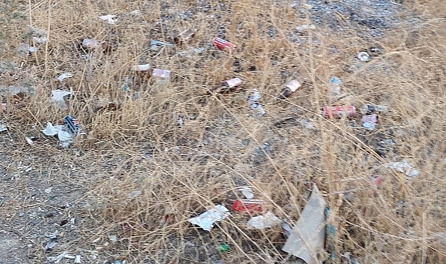 Biz Ormanları böyle koruyamayız