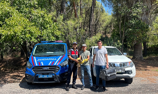 Bozdoğan’daki yangından etkilendiği tahmin ediliyor