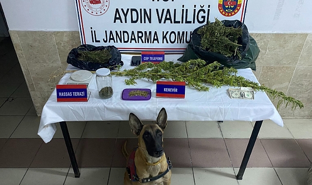 Jandarma Kırsal’da da Uyuşturucu peşinde