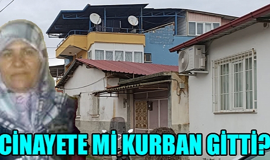 Cinayet mi İntihar mı?