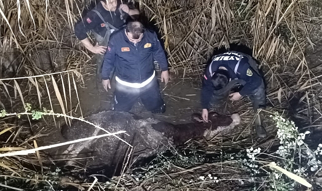 İtfaiye çabaları ile hayvanlar kurtarıldı