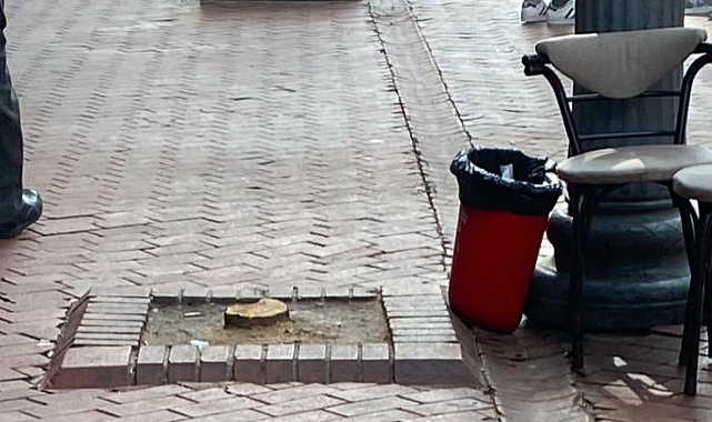 Nazilli’de Uzun Çarşı’da bazı turunç ağaçları kesildi