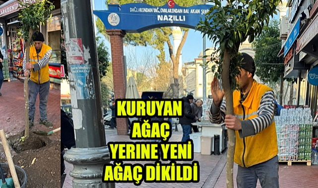 O Ağaç yenilendi