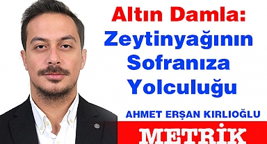 Altın Damla: Zeytinyağının Sofranıza Yolculuğu