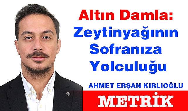 Altın Damla: Zeytinyağının Sofranıza Yolculuğu