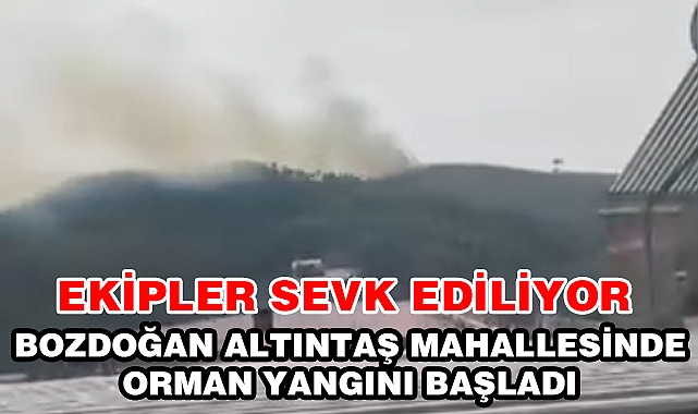 Bozdoğan Altıntaş Mahallesinde orman yangını