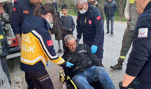Çam Kozalağı toplayacağım derken canından oluyordu