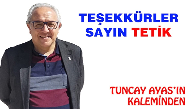 TEŞEKKÜRLER , SAYIN  TETİK