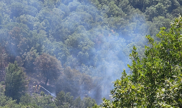 Ketenova'da orman yangını söndürüldü 