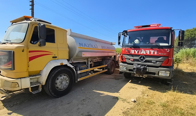 Mergen Çayı kenarında sazlık alanda yangın çıkti