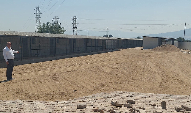 Sultanhisar’ın en geniş kapsamlı Hayvan barınağı açılıyor