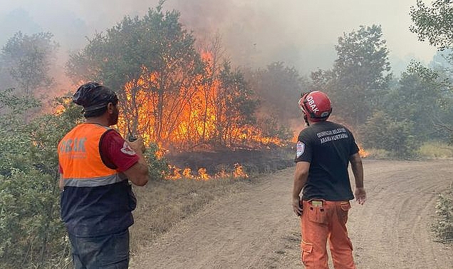 Yangınların arasında kalan 10 Orman işçisi hayatını Kaybetti