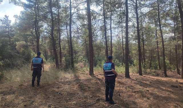 JANDARMA'DAN ORMAN DEVRİYESİ