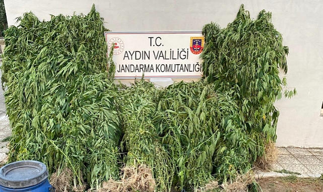 JANDARMA UYUŞTURUCU TACİRLERİNİ AFFETMEDİ