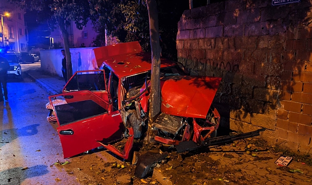 Nazilli'de Ağaca Çarpan Otomobilde Sürücü Ağır Yaralandı