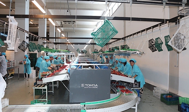 Aralık ayında genel ticaret sistemine göre ihracat %12,7, ithalat %10,7 arttı