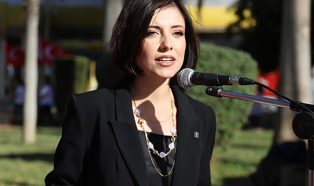 Ökmen, Gözaltılar Hukuk adına değil siyasi rahatsızlık adına atılmış bir adımdır.