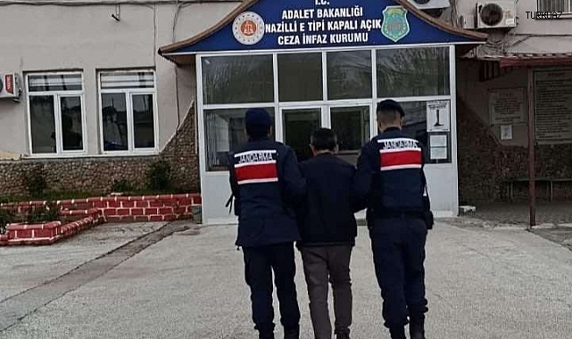 SERA İÇİNDE 208 KÖK HİNT KENEVİRİ ELE GEÇİRİLDİ
