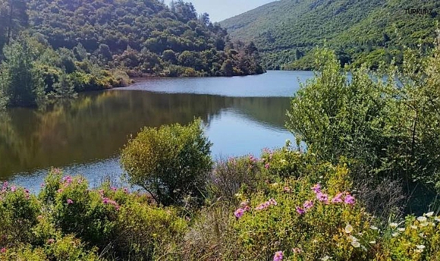 EKODOSD Başkanı Sürücü: "Bahçecik Boğazı tehdit altında" 