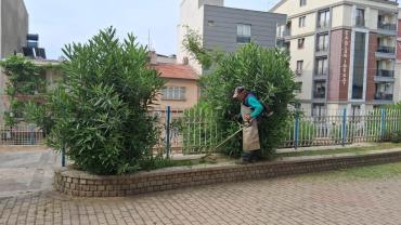 Aydın’da ormanlara girişler 31 Ekim’e kadar yasaklandı