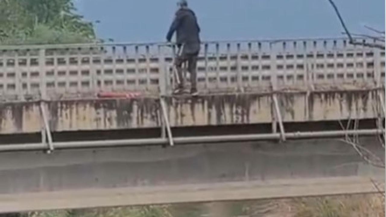 MENDERES KÖPRÜSÜNDE CAN PAZARI
