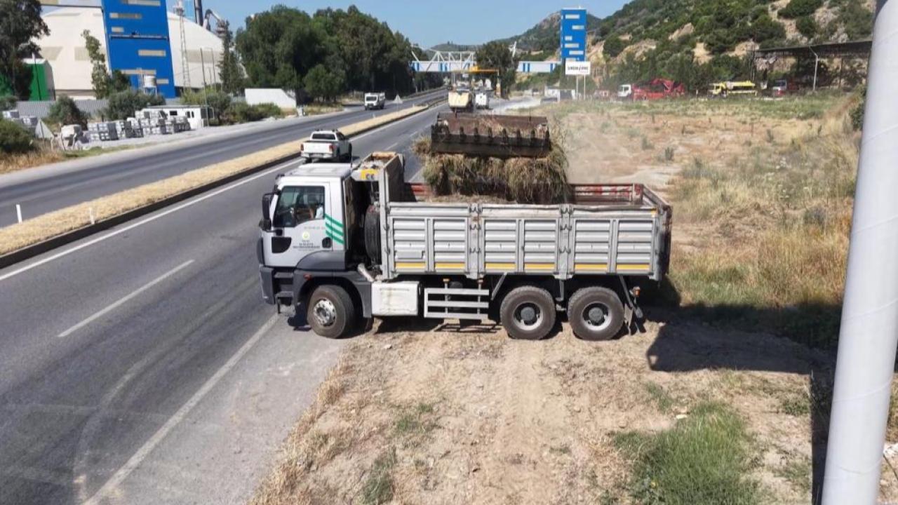 Aydın Orman İşletme'den yangınlara karşı yol kenarı temizliği