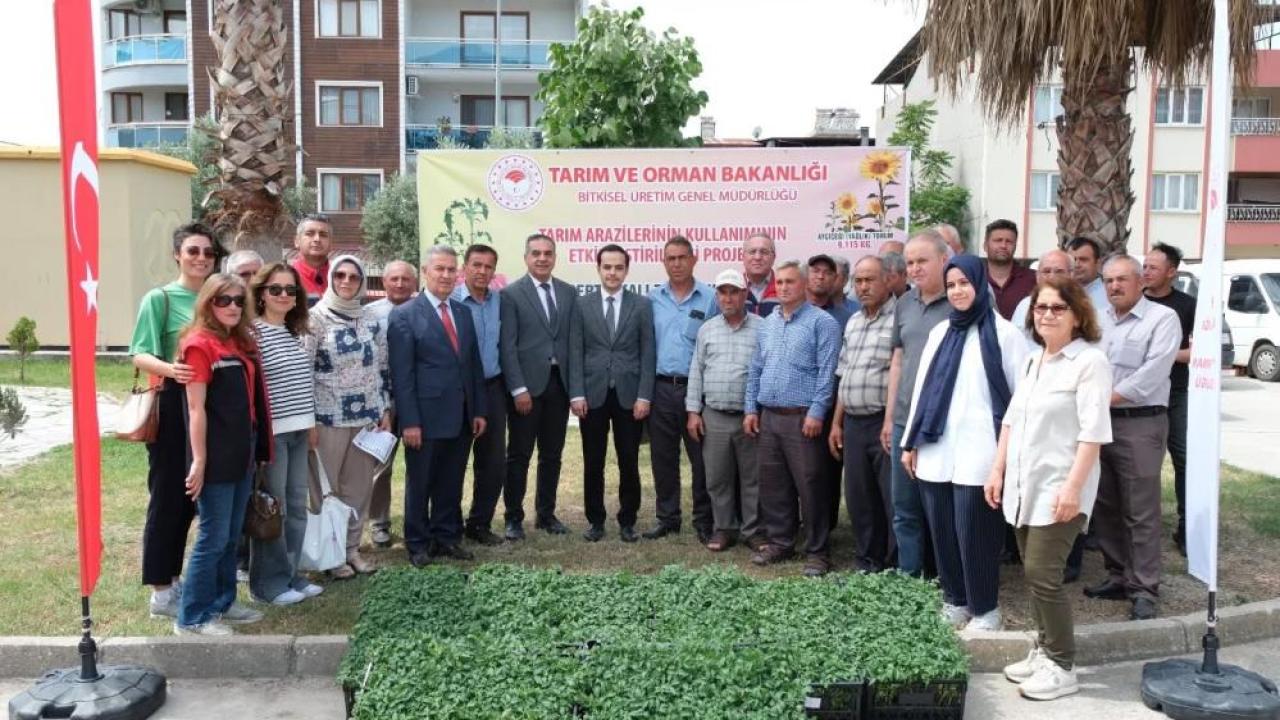 Buharkent'te 38 bin domates fidesi dağıtıldı