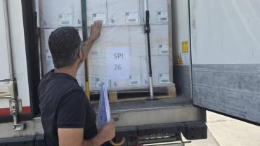 Didim’in balıkları, İngiltere yolcusu