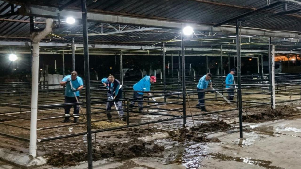 Efeler'de bayram sonrası kapsamlı temizlik seferberliği